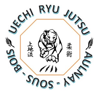  UECHI RYU KARATE DO KENYUKAI 93, un professeur en club de karaté à Noisy-le-Sec
