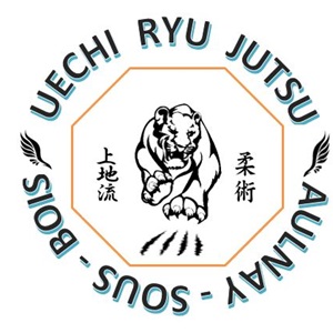  UECHI RYU KARATE DO KENYUKAI 93, un club de jujitsu brésilien à Sevran