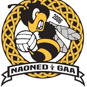Nantes Don Bosco Football Gaélique, un club de handball à Laval