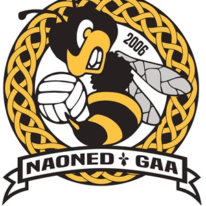 Nantes Don Bosco Football Gaélique, un club de football à Challans