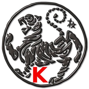 KENKYO, un maître en arts de défense à Nancy