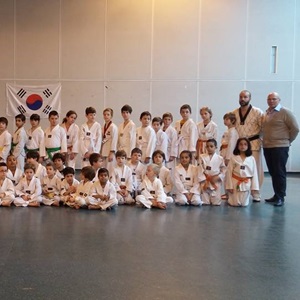 ACTION TAEKWONDO VERSAILLES - LE CHESNAY, un maître de taekwondo à Châtillon