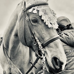 CHANTAL, un professeur d'équitation à Châlons-en-Champagne