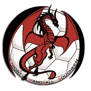 Niort handball Souchéen, un entraîneur de handball à Niort