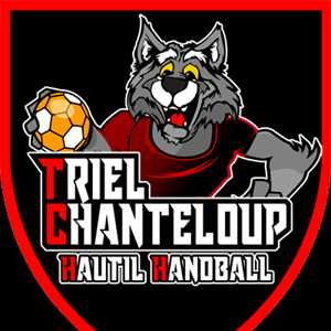 Axel, un club de handball à Saint-Germain-en-Laye