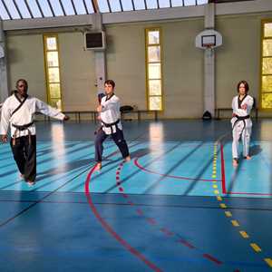 Tee Mudo Kwan _ Issy-Taewondo, un club de taekwondo à Issy-les-Moulineaux