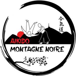 Aïkido Montagne Noire, un professeur d'aikido à Sète