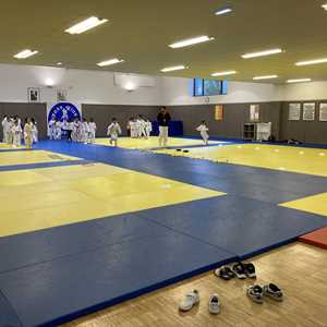 Taekwondo Olympique Provinois, un responsable de club de taekwondo à Melun
