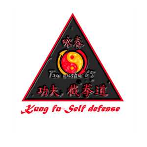 Michel, un responsable de club de kung-fu à Tarbes