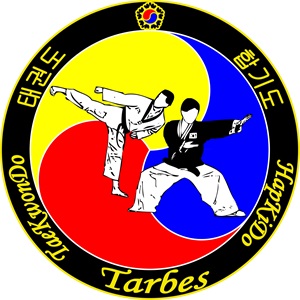 Taekwondo Hapkido Tarbes, un maître de taekwondo à Sète
