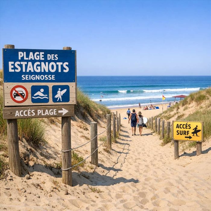 Accéder au spot des Estagnots à Seignosse : guide pratique