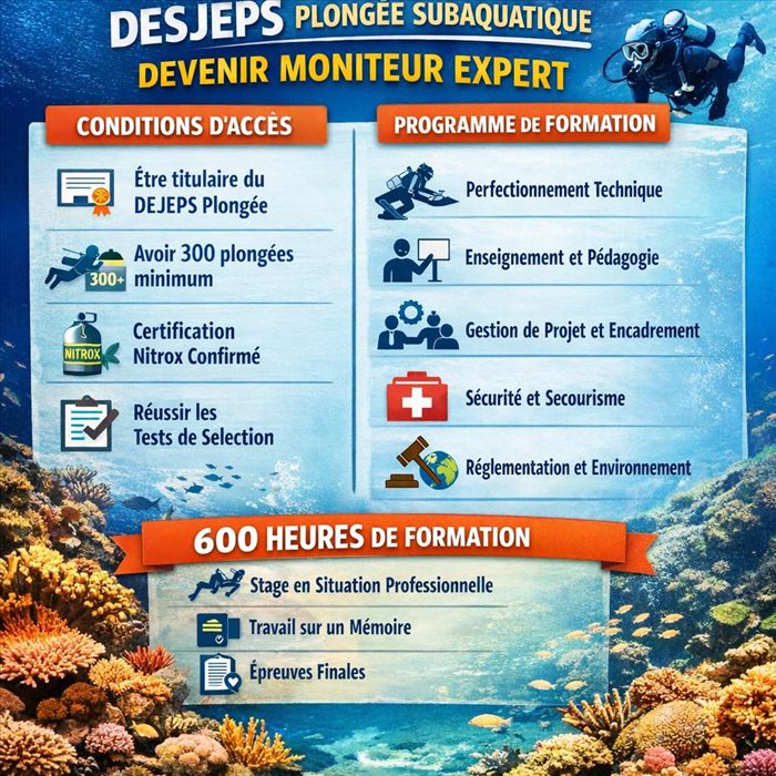 DESJEPS plongée subaquatique : quelles conditions, quel programme pour devenir moniteur expert ?