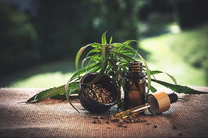 Pourquoi acheter de l’huile de CBD en parapharmacie??