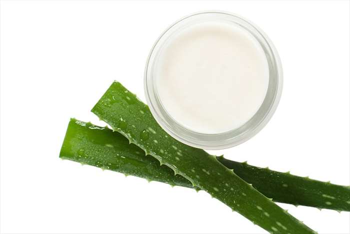 Les multiples bienfaits de l’aloe vera et des produits forever